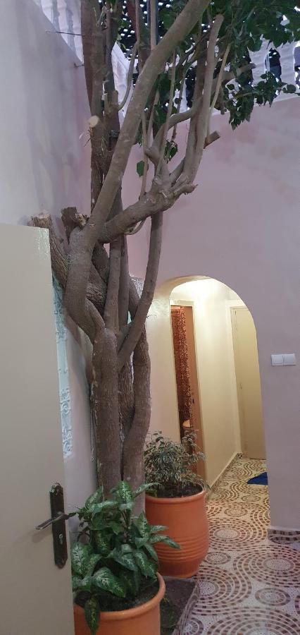Surf Riad Taghazout Exterior photo